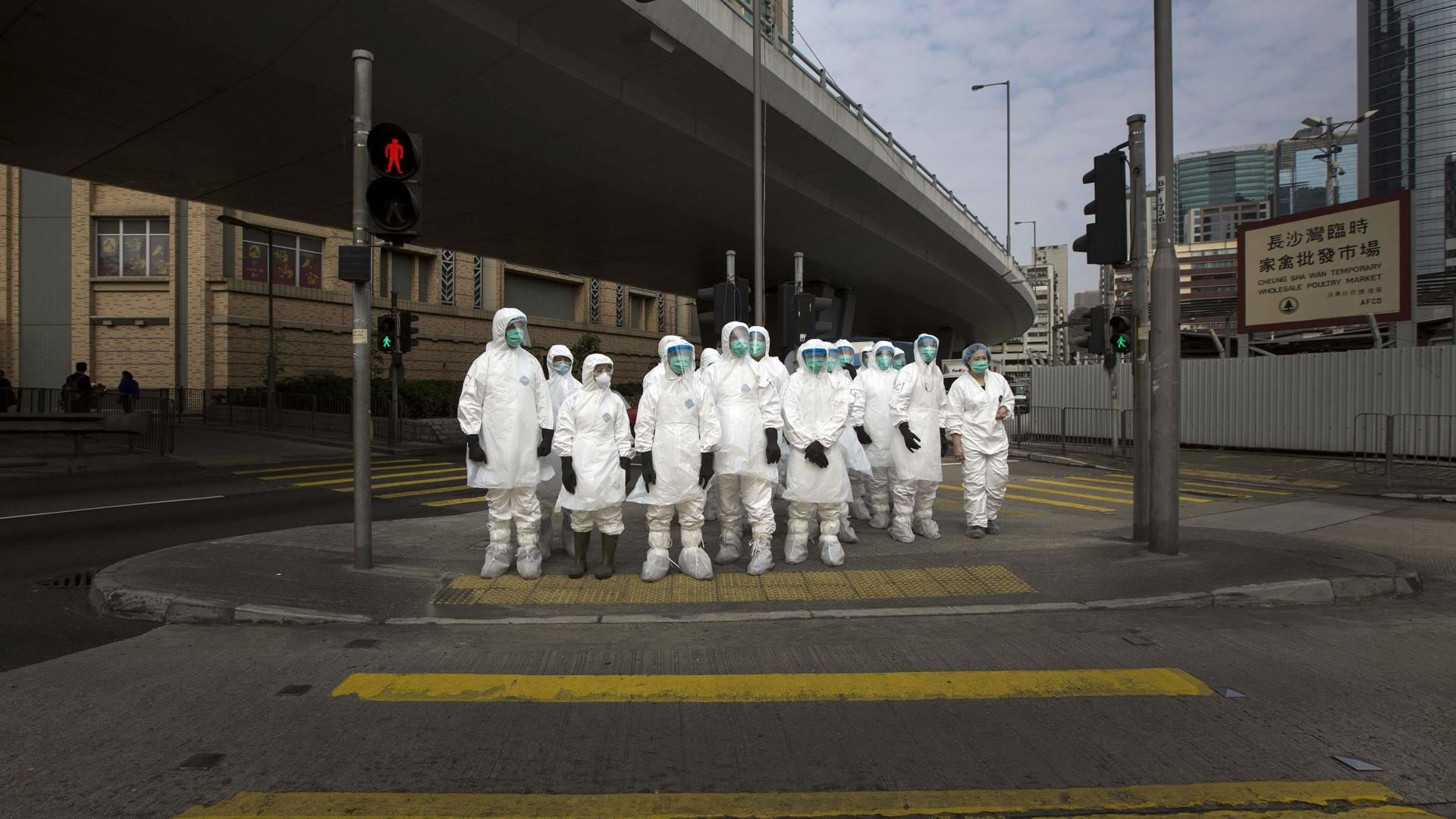Gripe aviar y viruela del mono, las dos amenazas a las que nos enfrentamos con las enseñanzas del covid