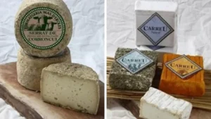 Alerta sanitaria por presencia de salmonela en estos quesos de oveja