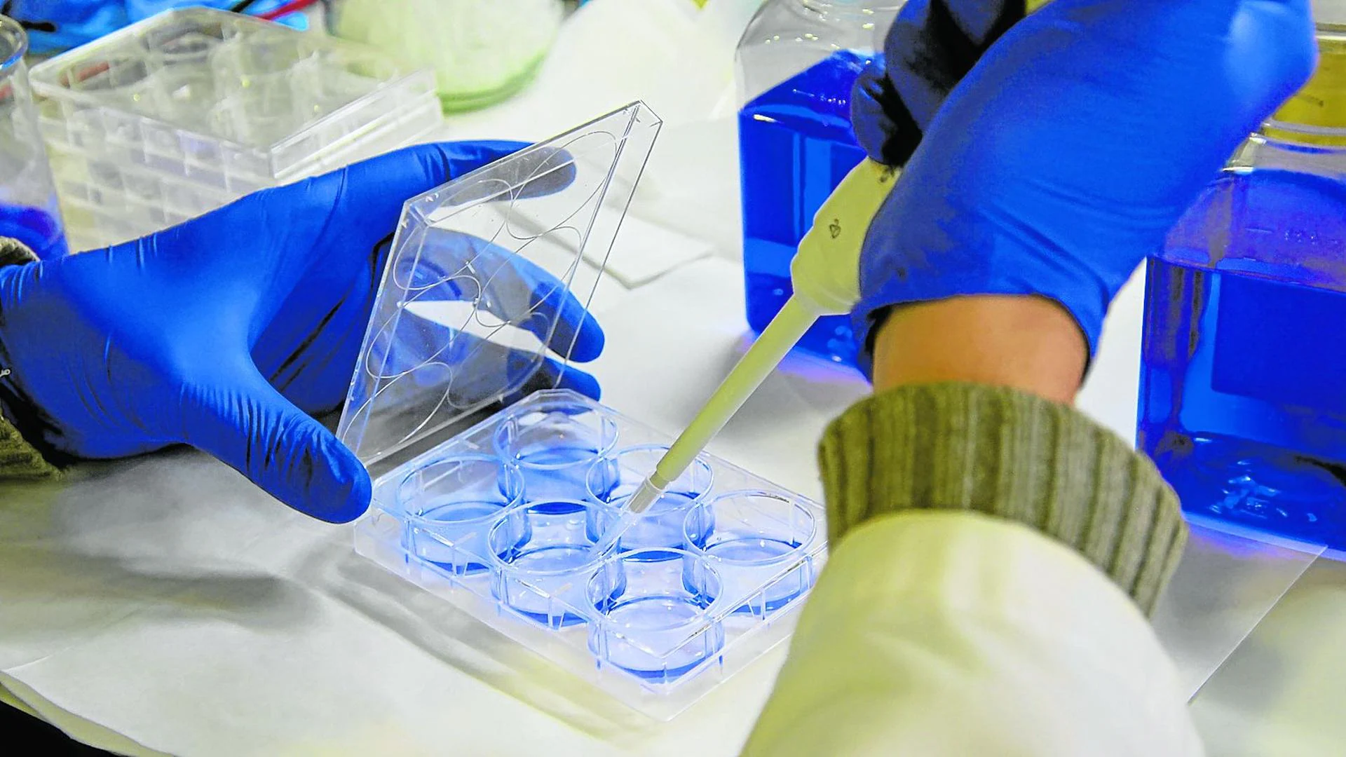 Un informe calcula que cada euro de las vacunas anticovid ahorró cinco en gastos sanitarios