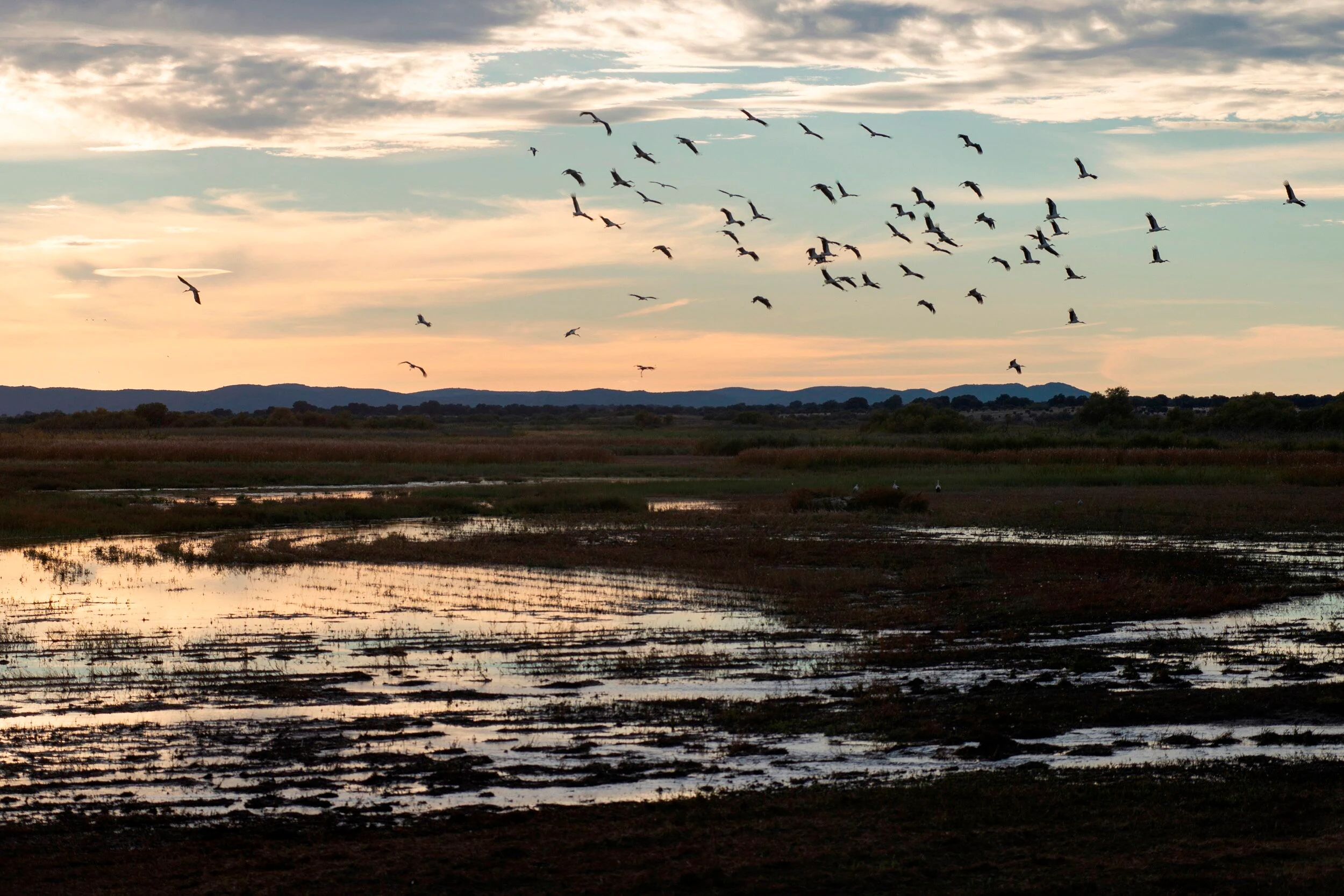 Activan los pozos de emergencia para salvar e inundar Las Tablas de Daimiel