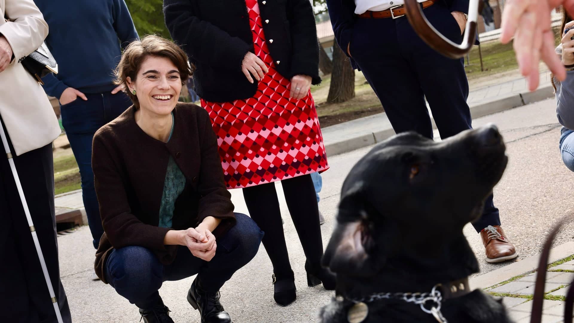 Los perros guía podrán acceder a cualquier espacio abierto al público en todo el país