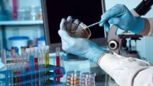 Los inventores españoles presentaron casi 2.200 patentes europeas en 2024, un 3% más