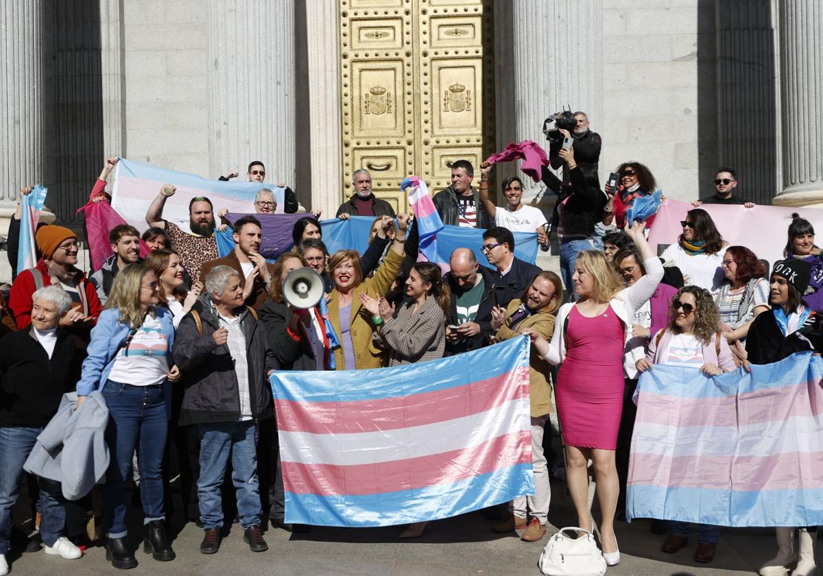 ¡Revelado! El Constitucional respalda la ley trans con cambios ...