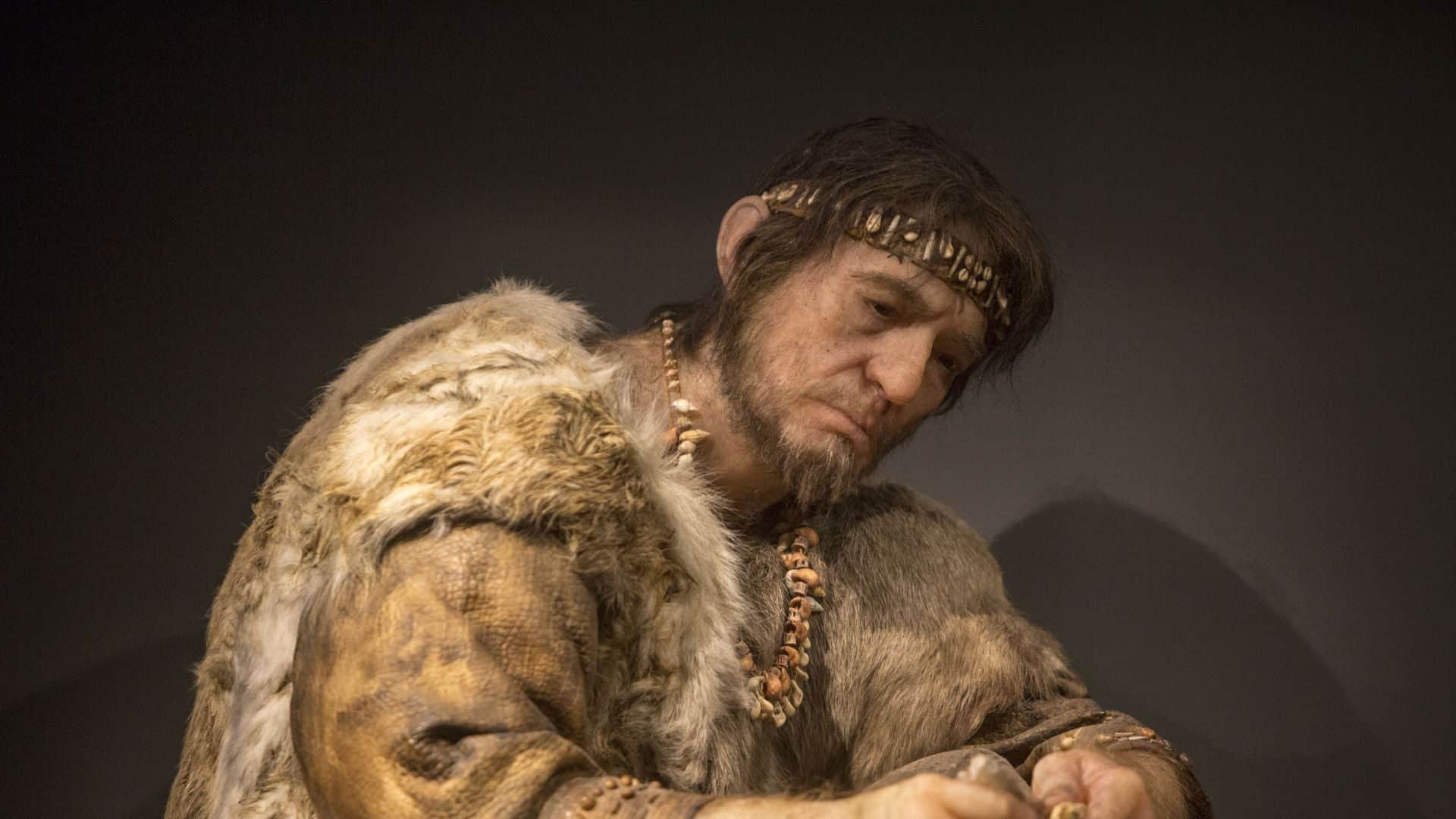 El primer protector solar de la historia salvó al 'Homo sapiens' hace 41.000 años