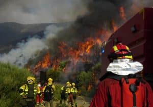 España sufre el peor año de incendios en tres décadas: más de 380.000 hectáreas calcinadas y decenas de focos activos