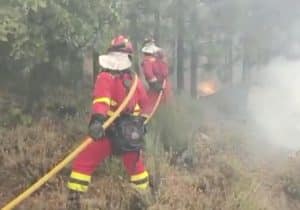Muere un bombero forestal en un accidente mientras acudía al incendio de las Cinco Villas en Ávila