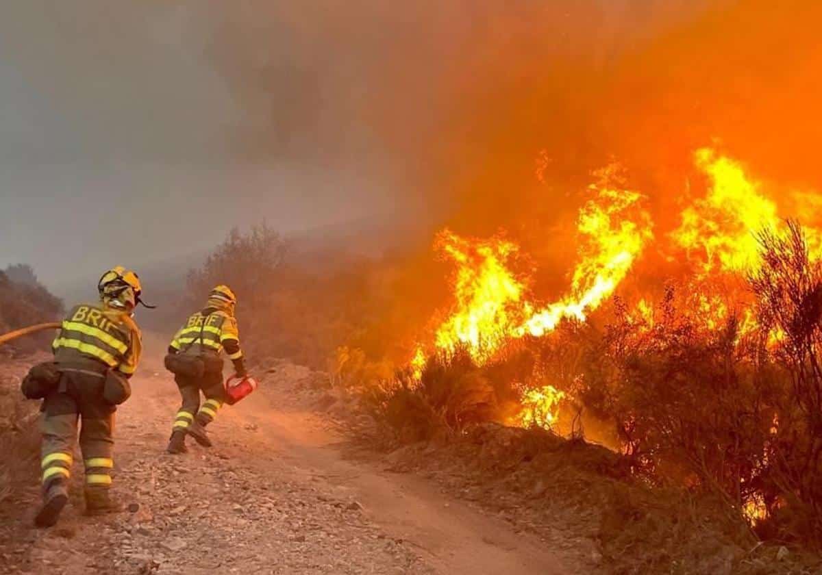 Muere un hombre en un incendio forestal en Villarejo de Órbigo (León)