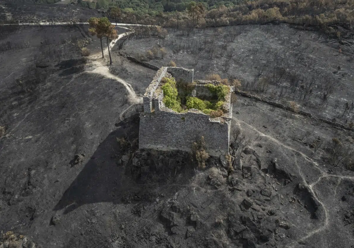 La última actualización de Copernicus rebaja a 336.345 las hectáreas quemadas en agosto, un 7% menos de lo previsto