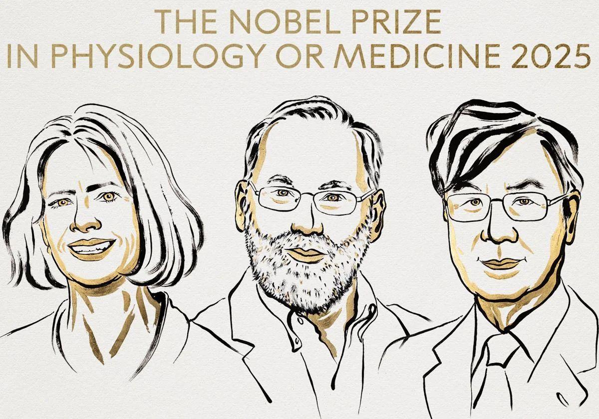 Nobel de Medicina para Mary E. Brunkow, Fred Ramsdell y Shimon Sakaguchi, por identificar los guardianes del sistema inmunitario
