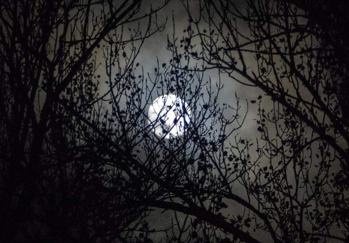 Luna llena del Cazador 2025: cuándo y cómo ver esta superluna de octubre