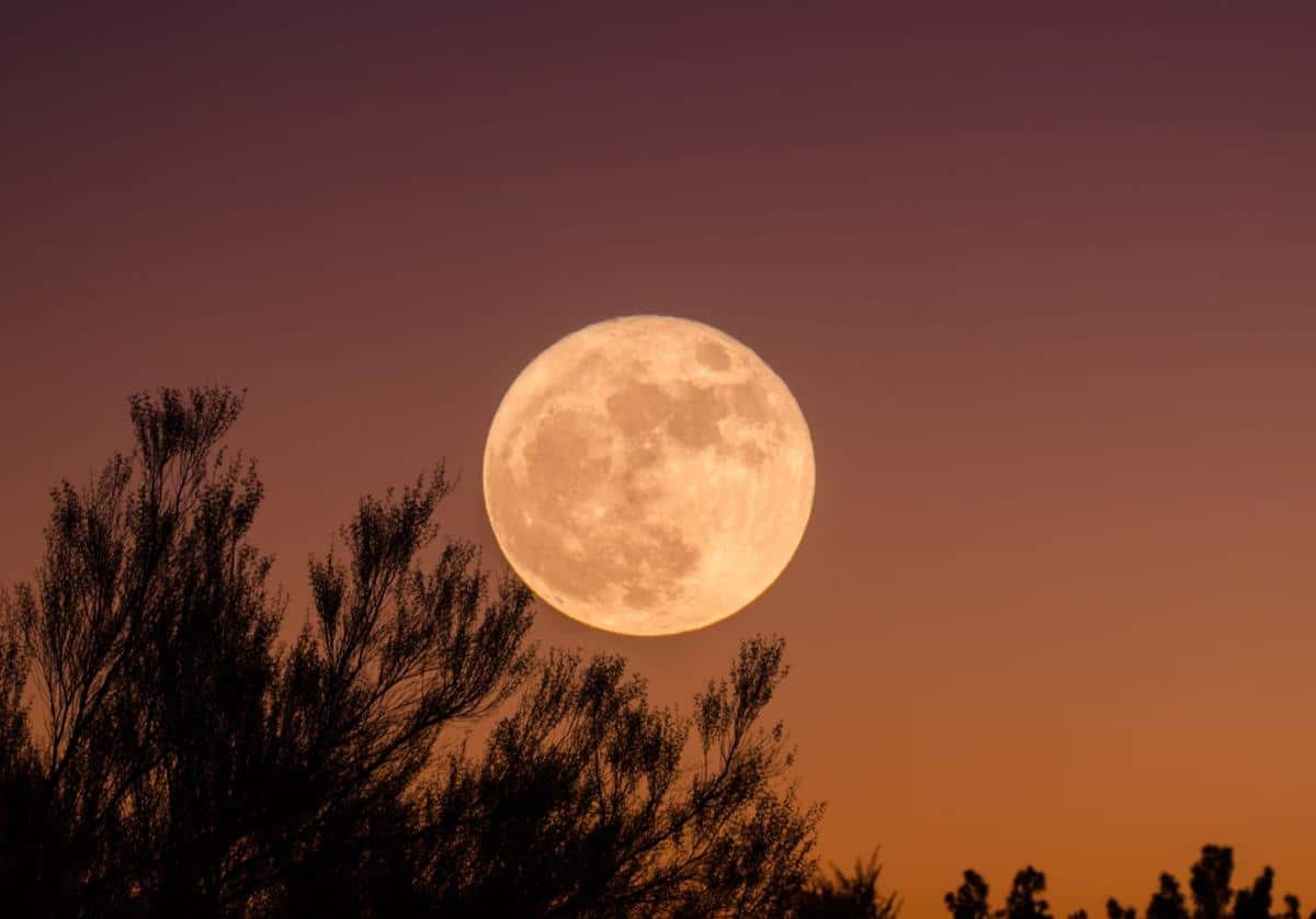 La Superluna del Castor: el gran espectáculo lunar de 2025 que llega esta noche