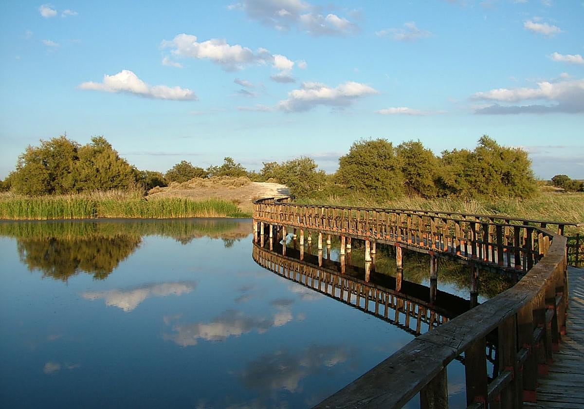 Inundación histórica de Las Tablas de Daimiel gracias a las borrascas Kristin, Leonardo y Marta