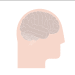 Esto es lo que sucede en el cerebro de un paciente con párkinson