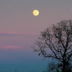 Mayo contará con dos lunas llenas: cuándo y dónde verlas