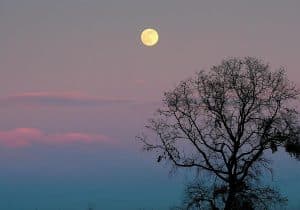 Mayo contará con dos lunas llenas: cuándo y dónde verlas