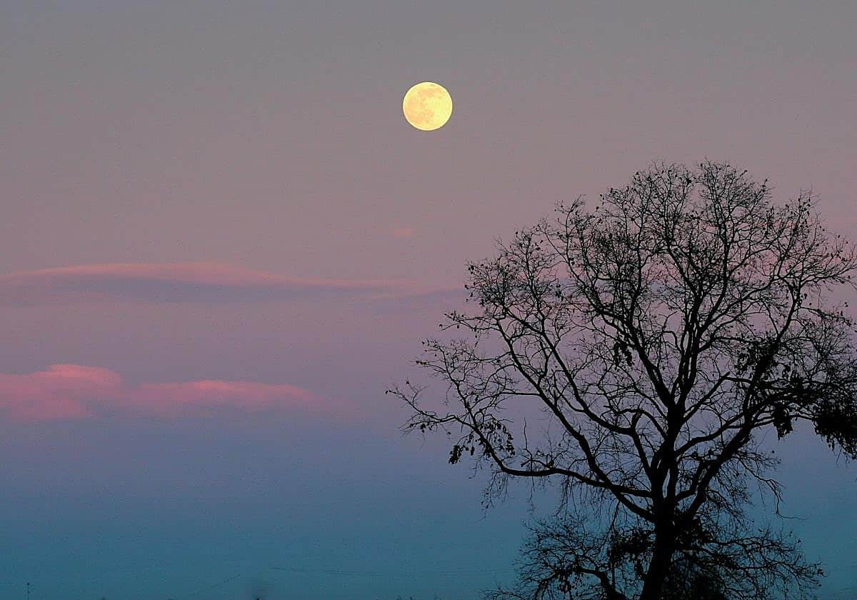 Mayo contará con dos lunas llenas: cuándo y dónde verlas