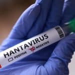 La mujer ingresada en Alicante por posible contagio de hantavirus da negativo
