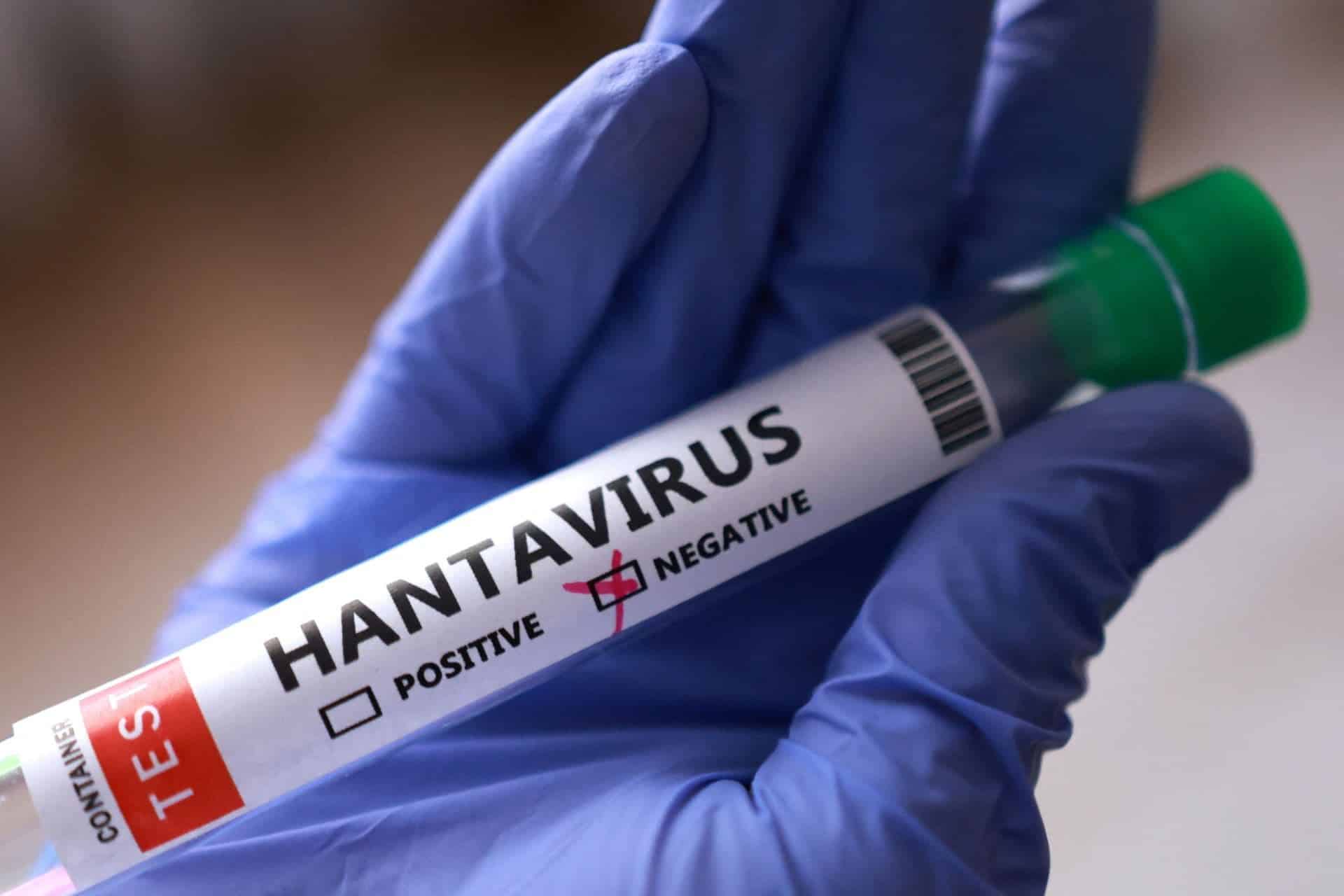 La mujer ingresada en Alicante por posible contagio de hantavirus da negativo