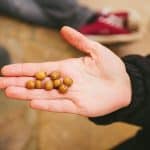 Bloquean un lote de aceitunas procedentes de Marruecos por exceso de plomo