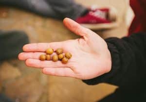 Bloquean un lote de aceitunas procedentes de Marruecos por exceso de plomo