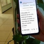 Cae una red que estafó más de dos millones y medio de euros con el fraude del «hijo en apuros»