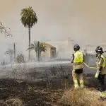 Un incendio forestal en Murcia arrasa 170 hectáreas y obliga a desalojar a un centenar de vecinos