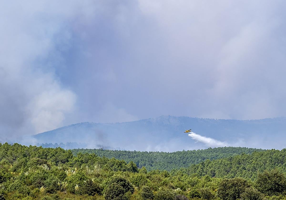 Cerca de 6.000 hectáreas han ardido en el incendio de Guadalajara