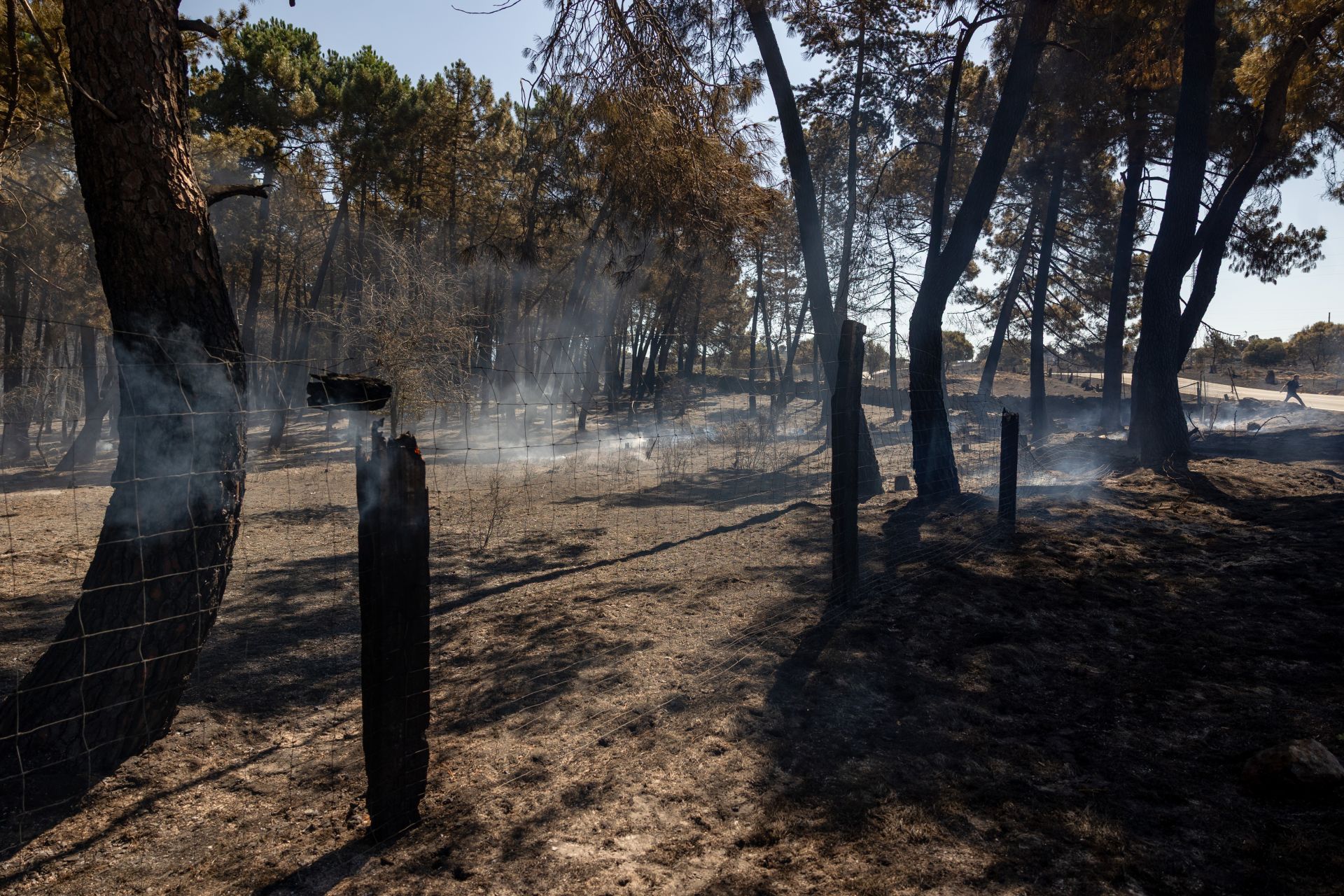 El incendio de Lozoyuela ya está controlado, pero provoca el corte de la M-126 para labores de remate