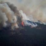 El incendio de Guadalajara se estabiliza una semana después de iniciarse