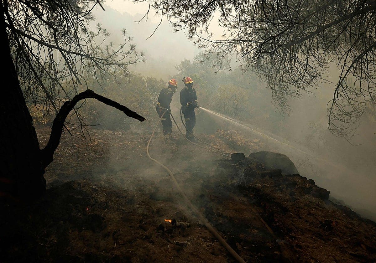 Los selvicultores reclaman un pacto de Estado para poner los bosques en el centro de la política española