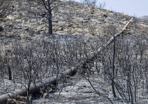 El incendio de Castellón queda estabilizado tras arrasar 9.568 hectáreas