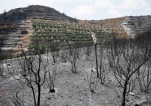 El incendio de Castellón comenzó de manera intencionada en una senda con abundante paso de gente