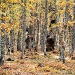 Suspenden la búsqueda de un león en una zona de montaña de Toledo
