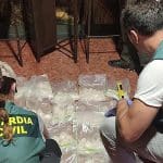 Desarticulada en Valencia una red de narcotráfico a nivel mundial: 172 kilos de droga, envíos a 45 países y cinco detenidos