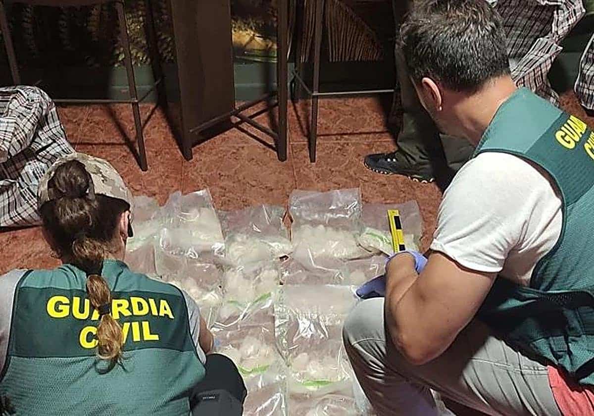 Desarticulada en Valencia una red de narcotráfico a nivel mundial: 172 kilos de droga, envíos a 45 países y cinco detenidos