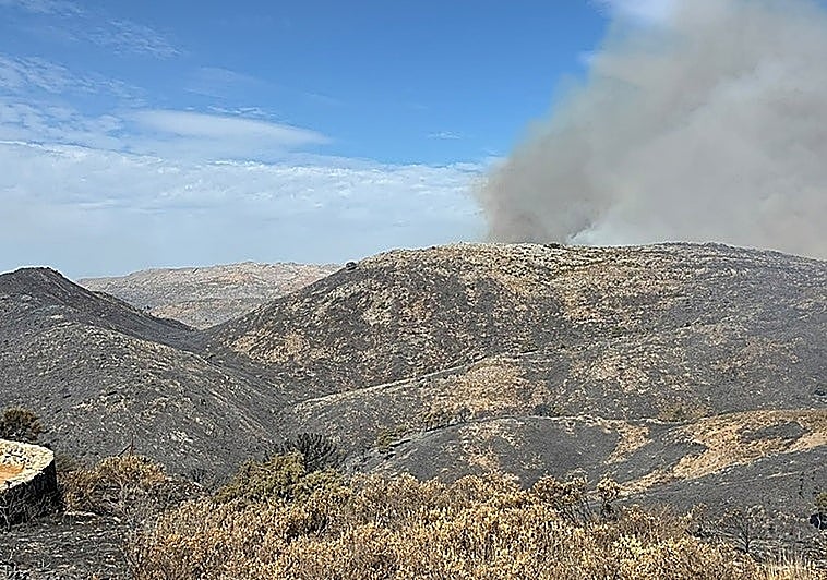 Los vecinos de Parauta, en Málaga, reciben un EsAlert por un incendio en Igualeja