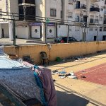 Testigos de las peleas en Granada: «He visto cómo un hombre le echó el perro a un indigente para que le mordiera»