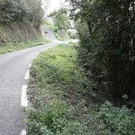 Herida una mujer de Guipúzcoa de 67 años tras ser atacada por un jabalí