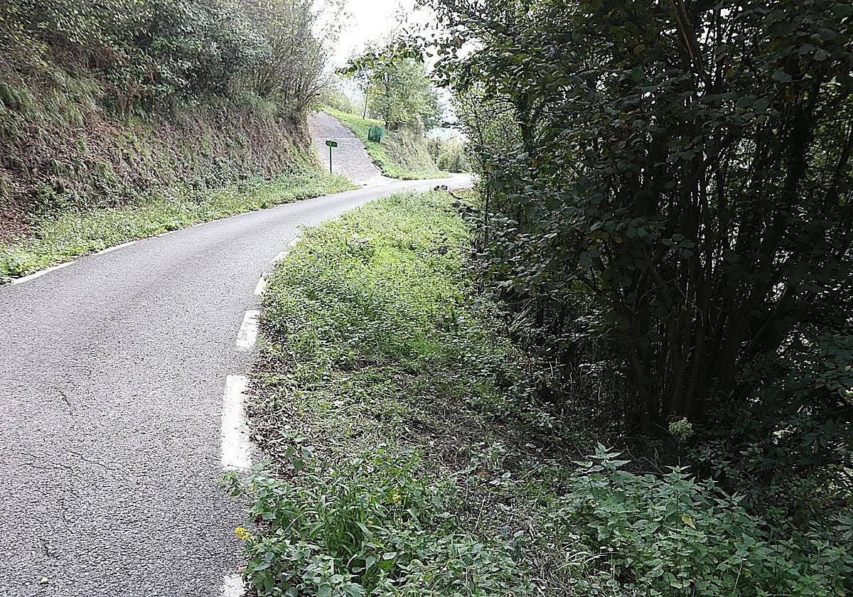 Herida una mujer de Guipúzcoa de 67 años tras ser atacada por un jabalí